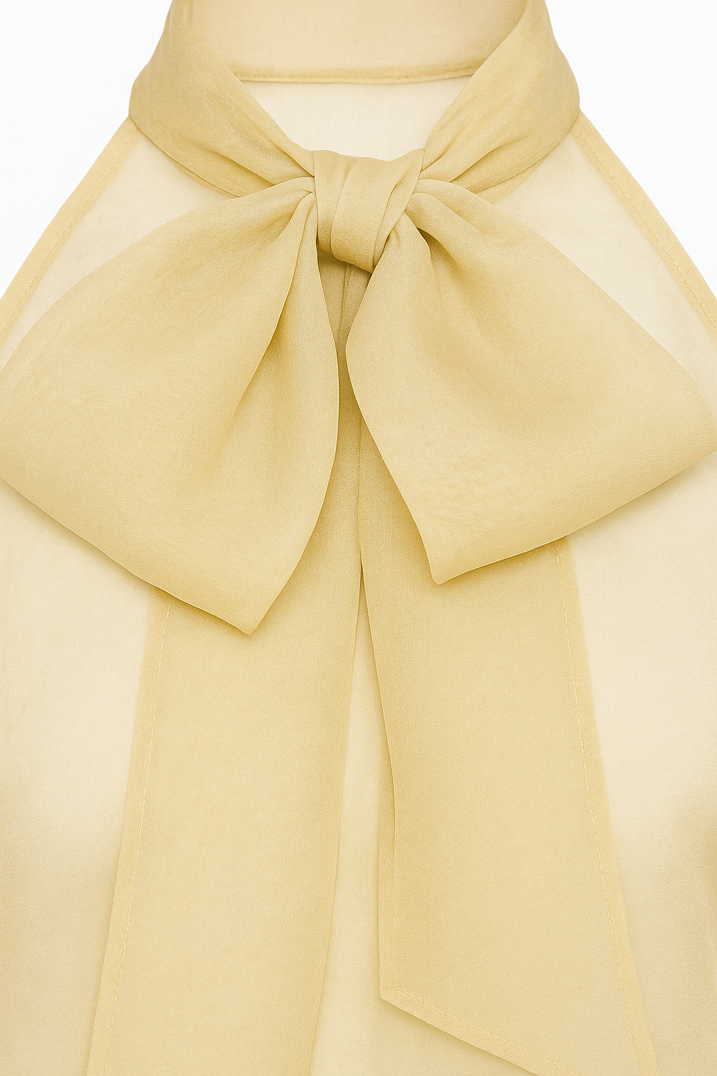 THE SEED Organza Halter Blouse