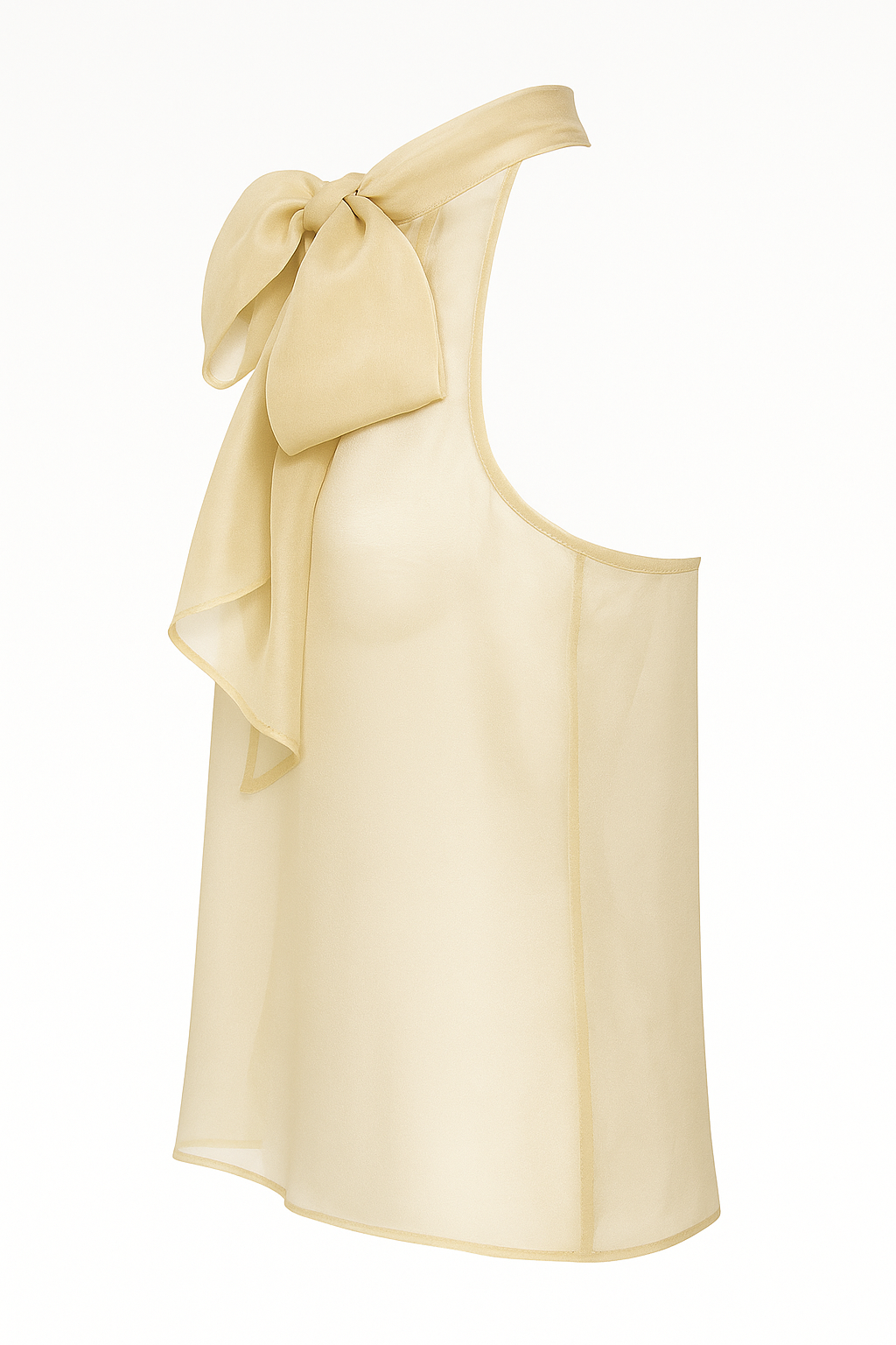 THE SEED Organza Halter Blouse